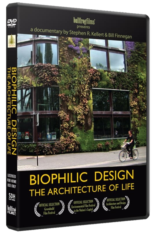 Biophilic Design: The Architecture of Life | Shou Sugi Ban